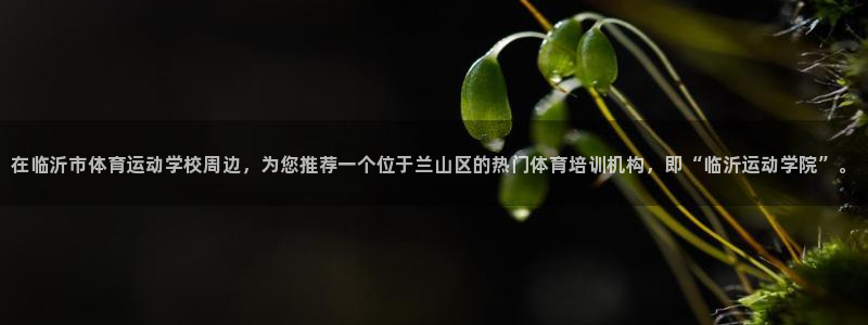 利记官网下载娱乐:在临沂市体育运动学校周边,为您推荐一个位于