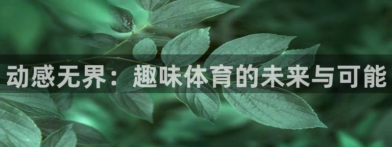 利记官方正版app集团:动感无界:趣味体育的未来与可能