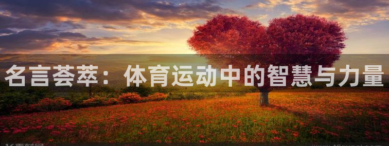 利记官网下载平台注册:名言荟萃:体育运动中的智慧与力量